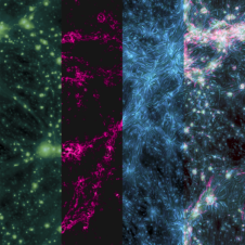 Polarised Shockwaves shake the Universe’s Cosmic Web