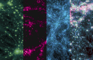 Polarised Shockwaves shake the Universe’s Cosmic Web