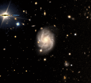 HI Observation of FRB host galaxy