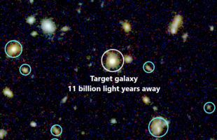 Gas-rich baby galaxies set the early Universe alight