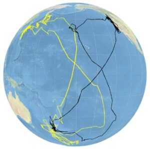 Tracks of two sooty shearwaters (Ardenna grisea) from their breeding islands off New Zealand, to their feeding grounds in the Antarctic, and during their migration to, sojourn in, and migration from, either side of the North Pacific. Data from Shaffer et al. (2007), PNAS.