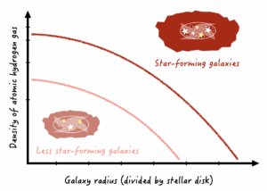 A graph showing two lines curving down and to the right. The outer line is darker and is marked with 'star forming galaxies'. The inner line is lighter and is labeled 'less star forming galaxies'. The x-axis is galaxy radius, and the y-axis is density of atomic hydrogen gas.