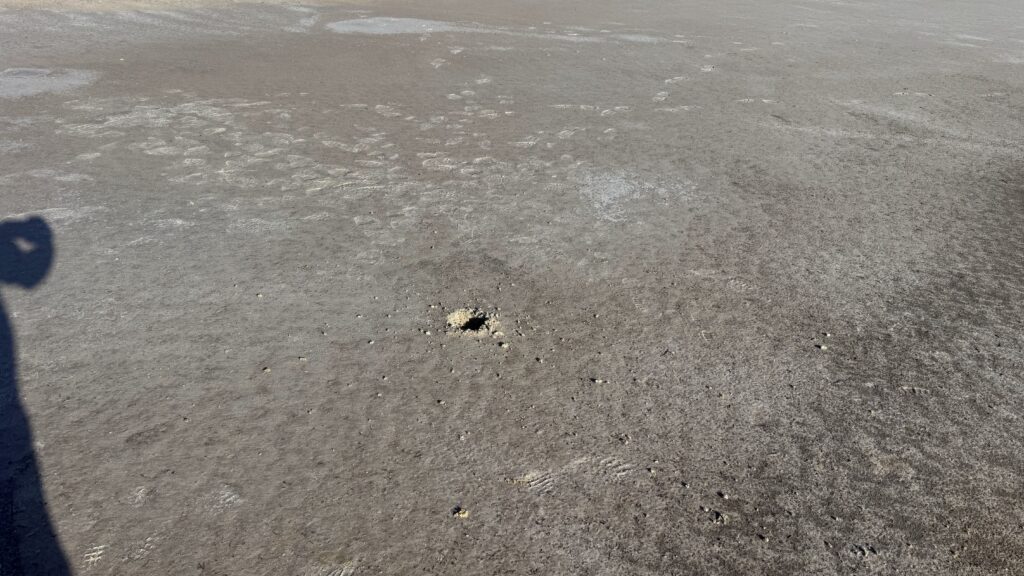 A small hole in a field of grey.